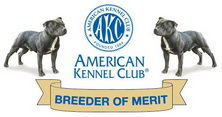 AKC Breeder of Merit