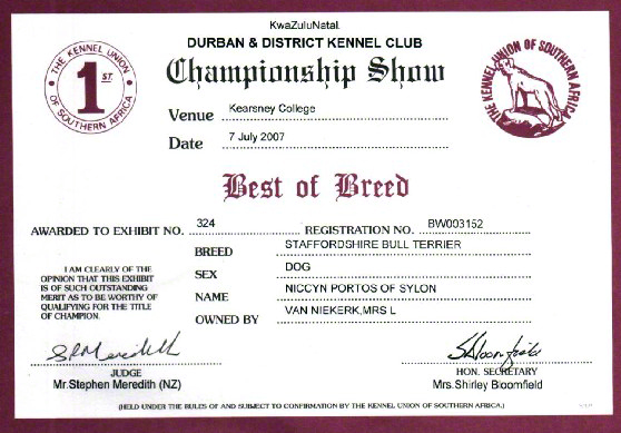 Best of Breed Certificate