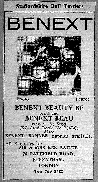 Image of Benext advertisement.