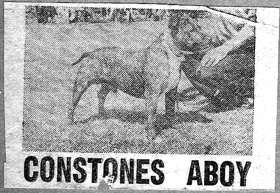 Image of a Constones Aboy advertisement.