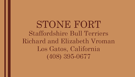 Stone Fort Business Card