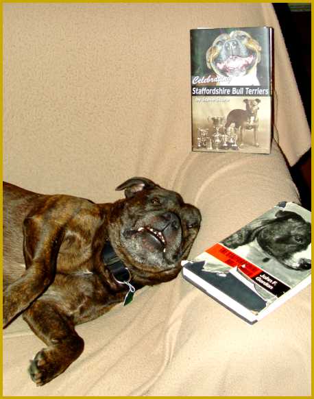 Rugar reading Stafford books.