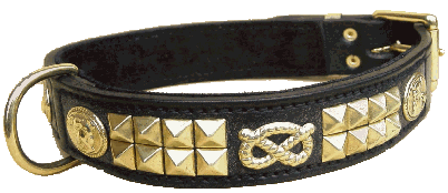A E collar gif.