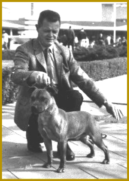 Steve Stone showing Bella.