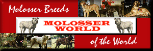 Molosser World Logo.