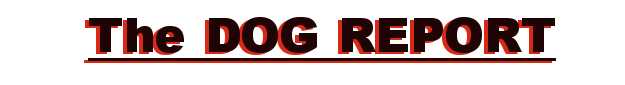 The DOG REPORT