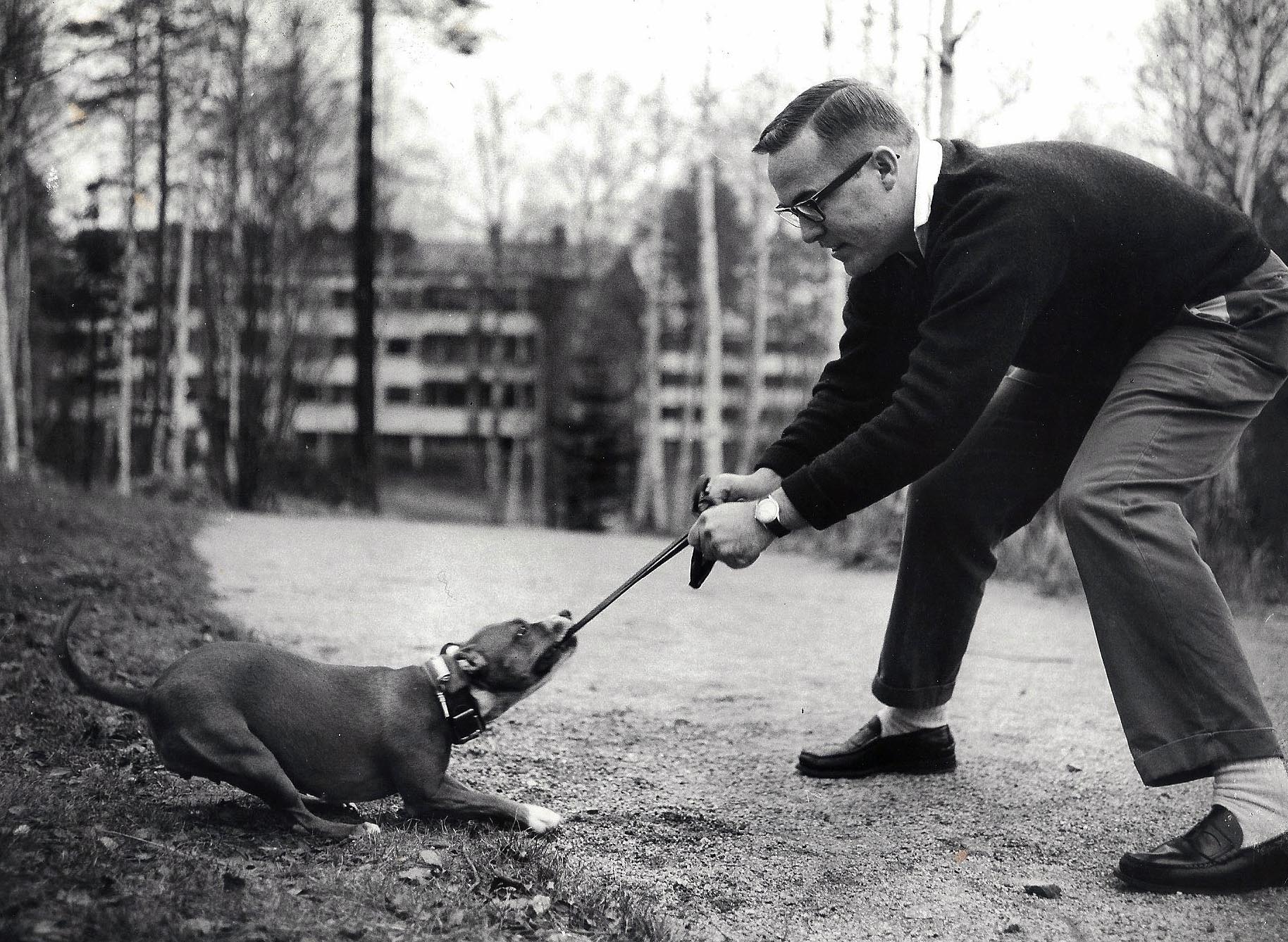 Steve Stone & Bella playing tug in Finland.