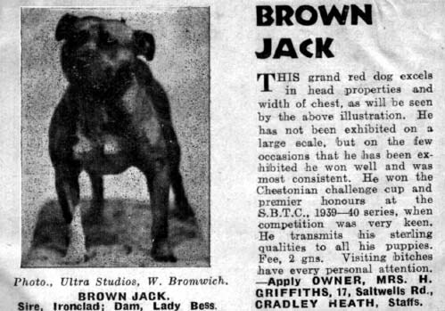 Brown Jack.