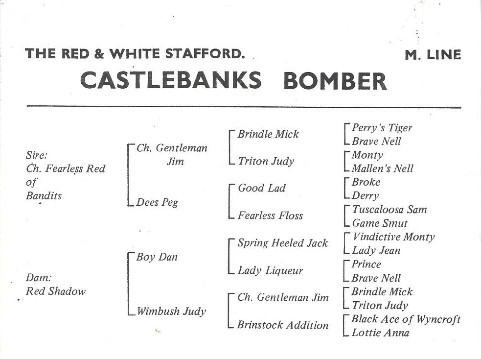 Castlebanks Bomber - inside cover.