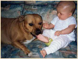 Photo of Bonnie 4 year old SBT with Ella at 6 months.