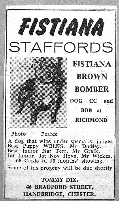 Fistiana Brown Bomber advertisement.