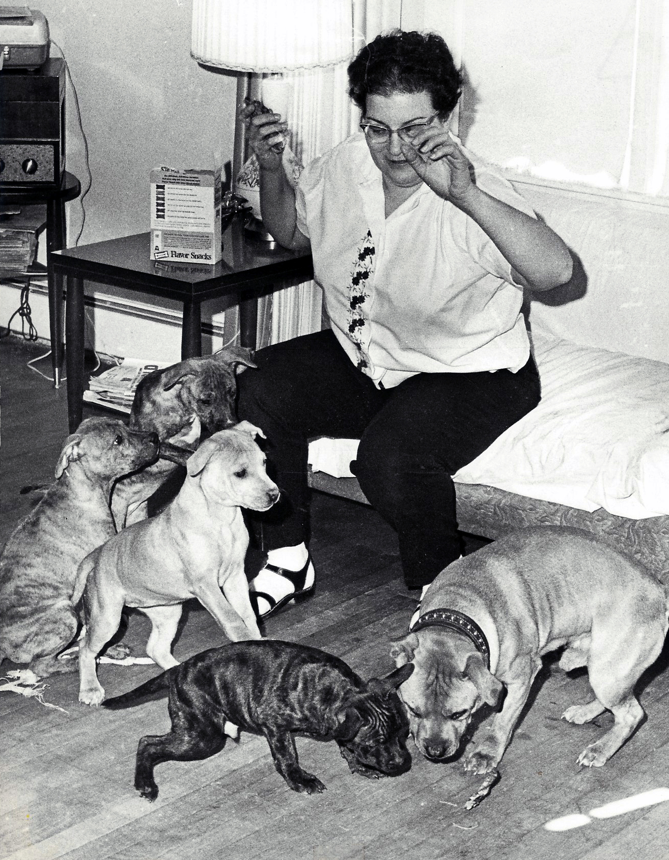 Irma Rosenfield and some of her Staffords.