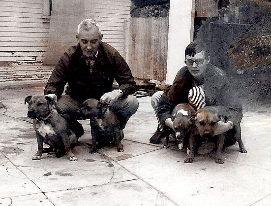 Larry with Fred/Charlie, Maini with Brutus/Bella
