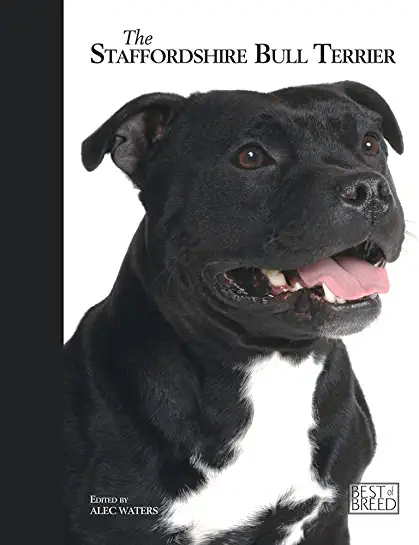 The Staffordshire Bull Terrier - Best of Breed.