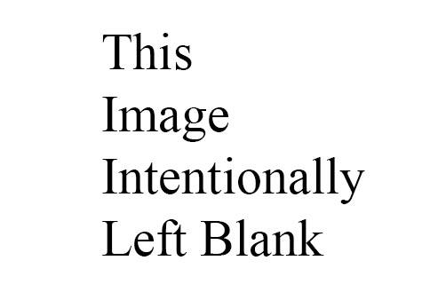 Image Intentionally Let Blank.